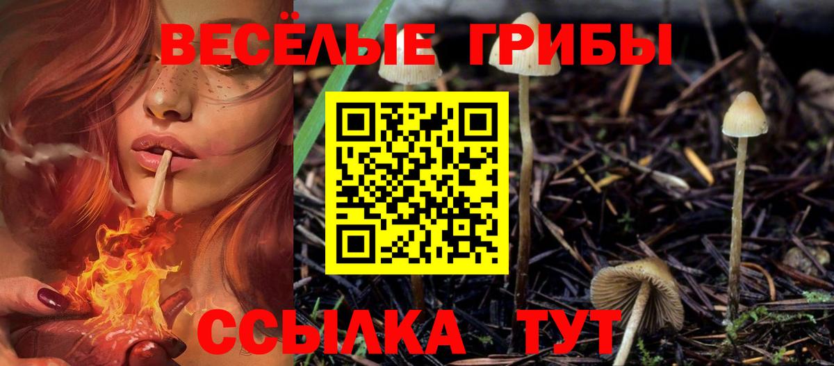Галлюциногенные грибы Cubensis  Вход с VPN  Десногорск  где купить   Псилоцибиновые грибы Magic Shrooms 